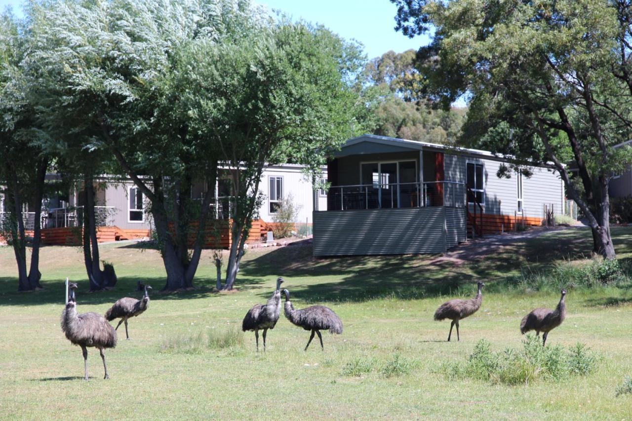 Halls Gap Lakeside Tourist Park Otel Dış mekan fotoğraf