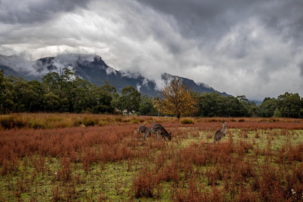 Halls Gap Lakeside Tourist Park Otel Dış mekan fotoğraf